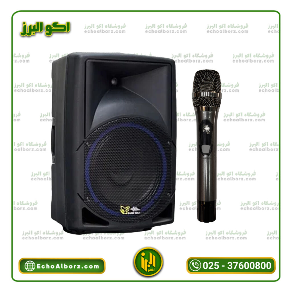 اکو همراه برین صوت 12300
