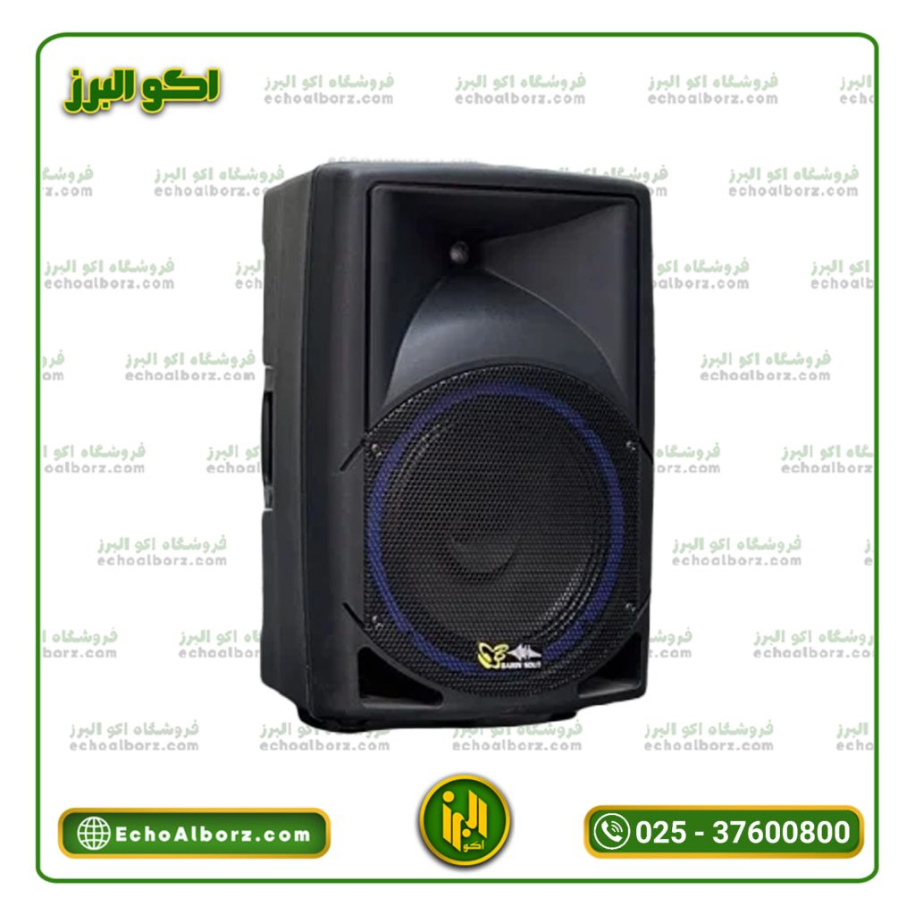 اکو همراه برین صوت 12300