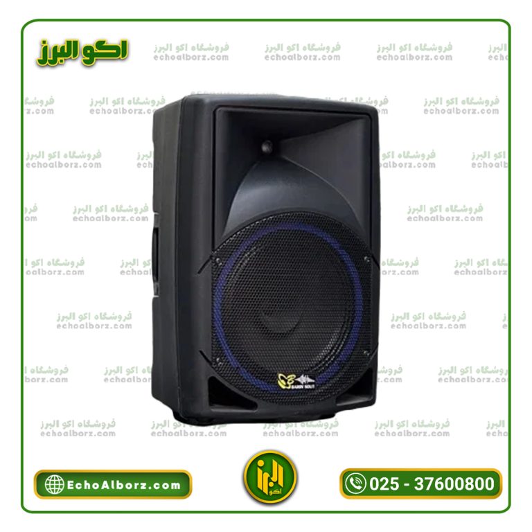اکو همراه برین صوت 12300