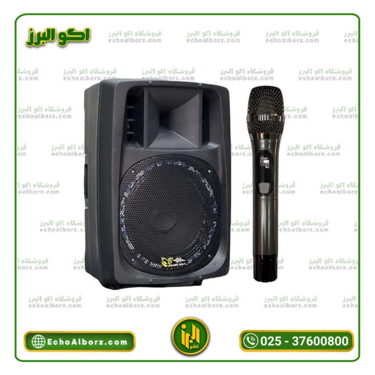 اکو همراه برین صوت 12450
