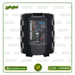 اکو همراه 12 اینچ برین صوت مدل 12300 (با میکروفن بیسیم) ارسال رایگان - Image 6