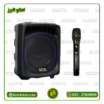 اکو همراه برین صوت مدل 12200 با میکروفن بی‌سیم