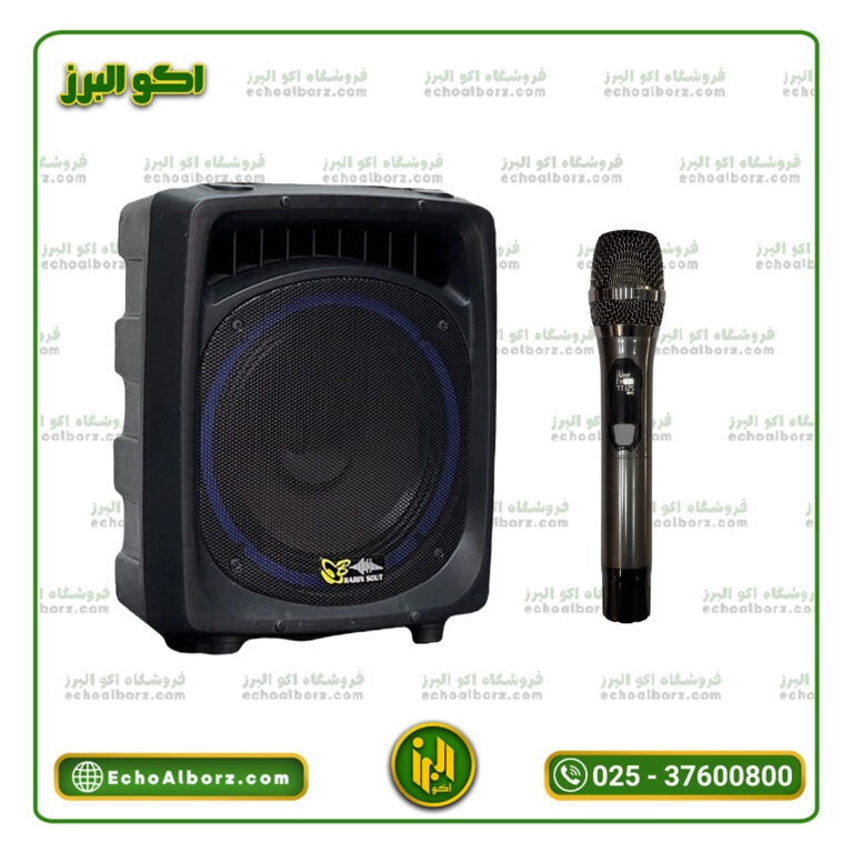 اکو همراه برین صوت مدل 12200 با میکروفن بی‌سیم
