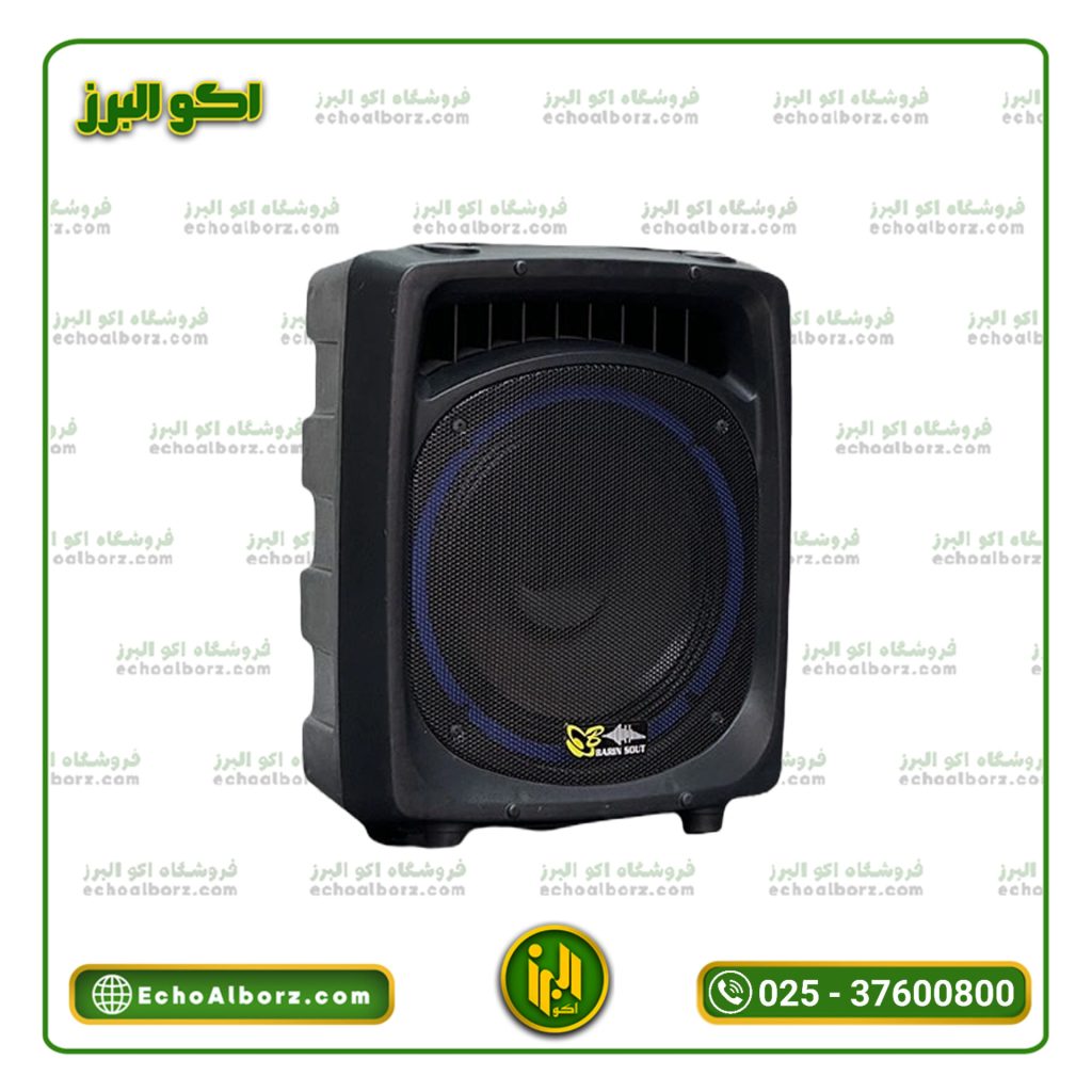 اکو همراه برین صوت مدل 12200 با میکروفن بی‌سیم