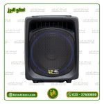 اکو همراه 12 اینچ برین صوت مدل 12200 (با میکروفن بیسیم) ارسال رایگان - Image 5