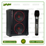 اکو همراه دوبل 6 اینچ تکنوسوند با میکروفن بیسیم