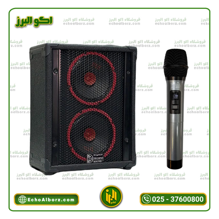 اکو همراه دوبل 6 اینچ تکنوسوند با میکروفن بیسیم