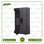 اکوهمراه 12 اینچ برین صوت مدل 3695(12450) (با میکروفن بیسیم) ارسال رایگان - Image 3