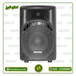 باند اکتیو 8 اینچ DYNApro مدل PRO S700