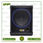 اکو همراه برین صوت مدل 12150 (با میکروفن بیسیم) ارسال رایگان - Image 3