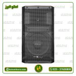 اسپیکر پسیو 12 اینچ دایناپرو DYNAPRO مدل DY800