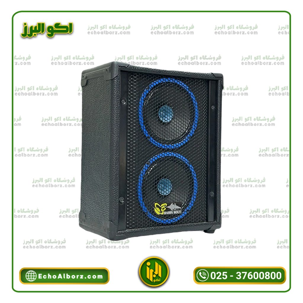 اکو همراه دوبل 6 اینچ برین صوت مدل 2660