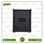اکو همراه دوبل 6 اینچ برین صوت مدل 2660 (با میکروفن بیسیم) - Image 6