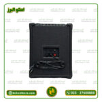 اکو همراه دوبل 6 اینچ تکنوسوند  مدلPTR4 2*6(بدون میکروفن بیسیم) - Image 3