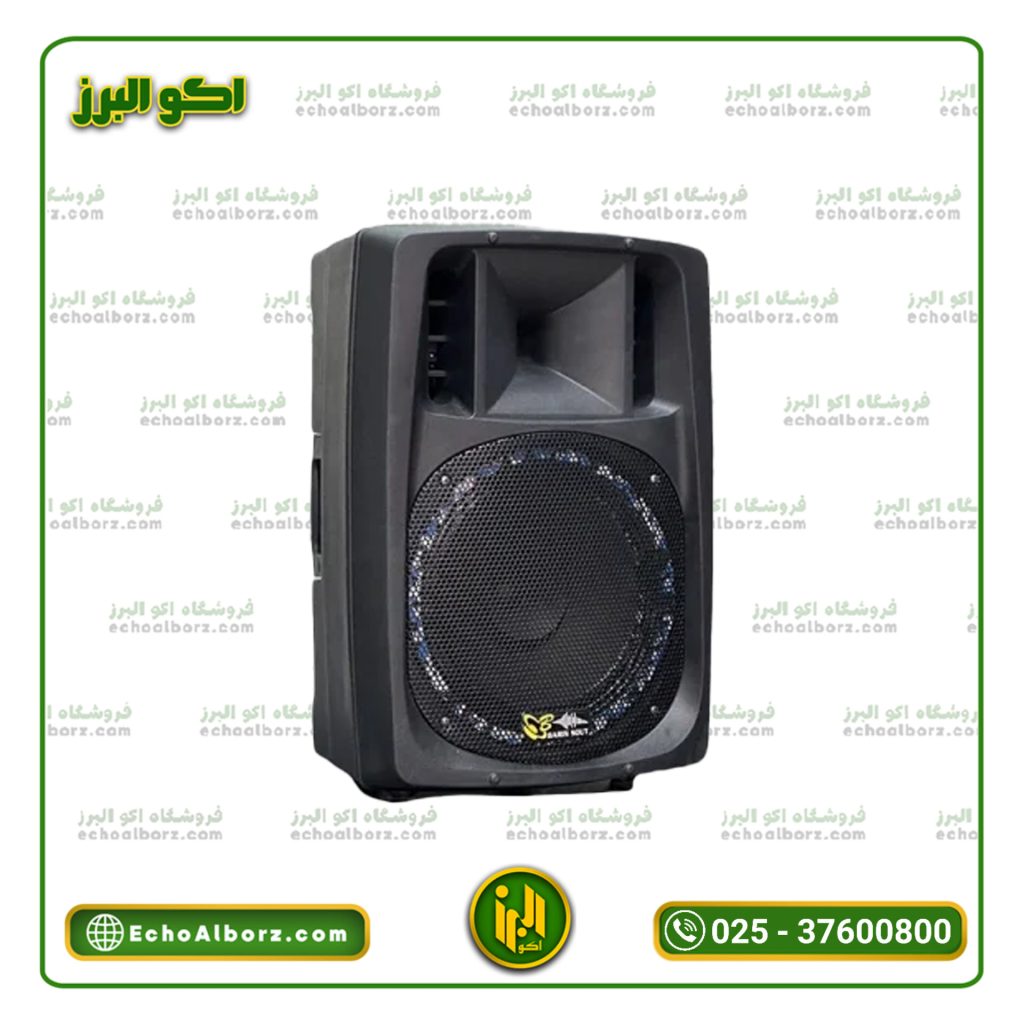 اکوهمراه ۱۲ اینچ برین صوت مدل ۳۶۹۵(12450) (بدون میکروفن بیسیم)