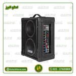 اکو همراه بیسیم 2660 باند ایران Bandiran | (با میکروفن بیسیم) - Image 5